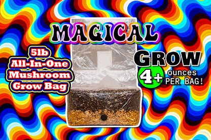 Magic 5lb All-In-One Mushroom Growing Bag
